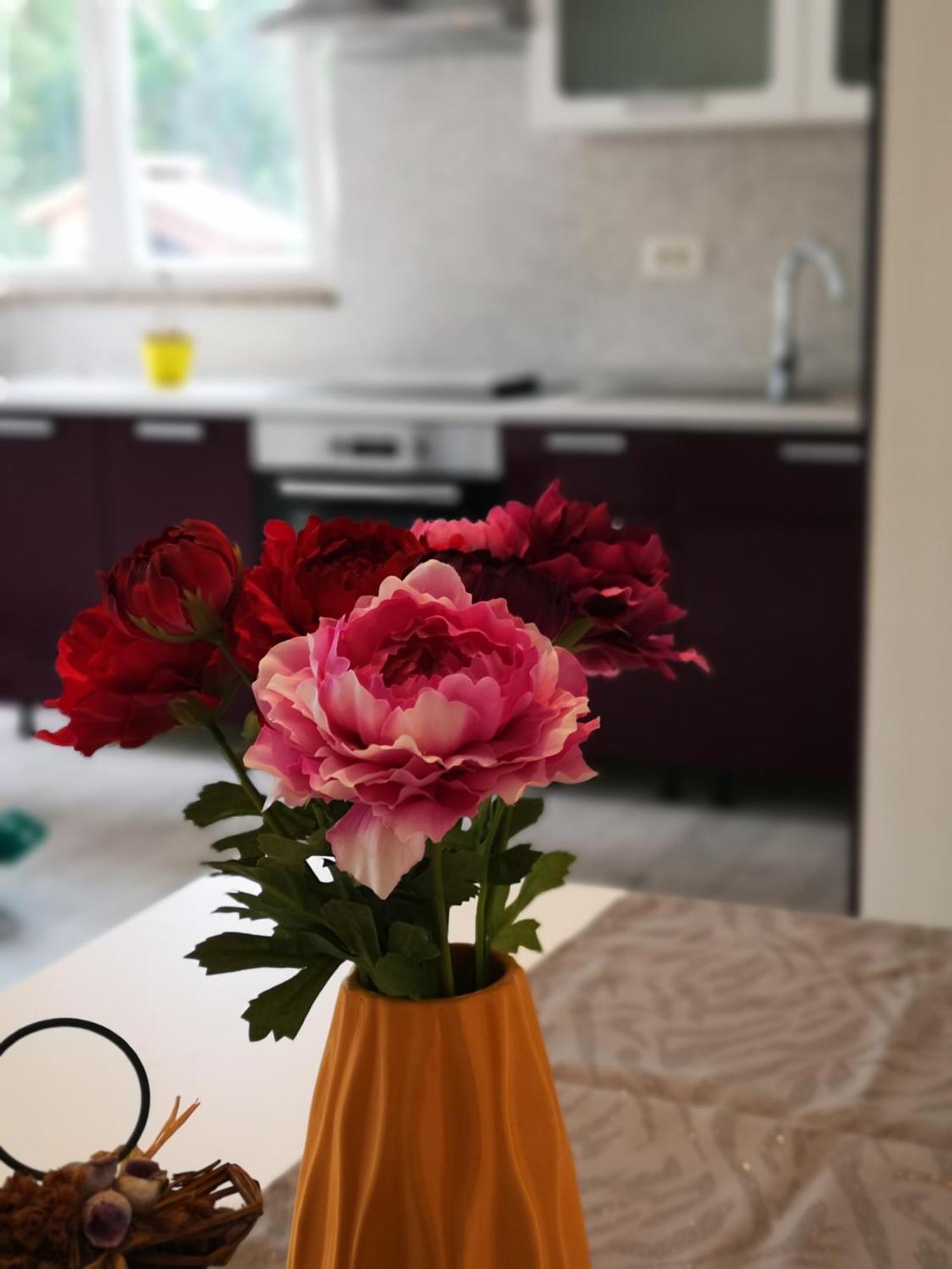 Apartmani "Sandro" Gonar Rab Town Oda fotoğraf