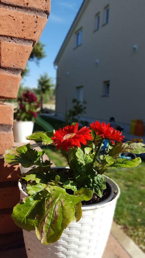 Apartmani "Sandro" Gonar Rab Town Dış mekan fotoğraf