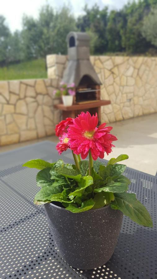 Apartmani "Sandro" Gonar Rab Town Dış mekan fotoğraf